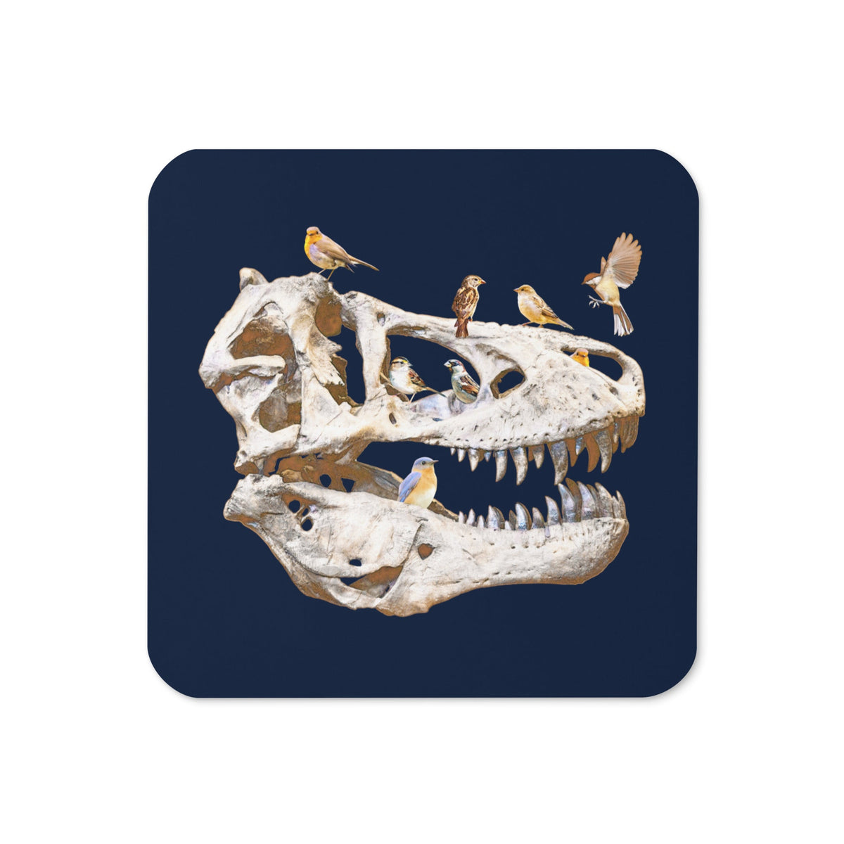 Bird Bones Coaster