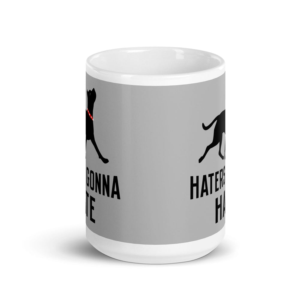 Haters Gonna Hate Pit Mug