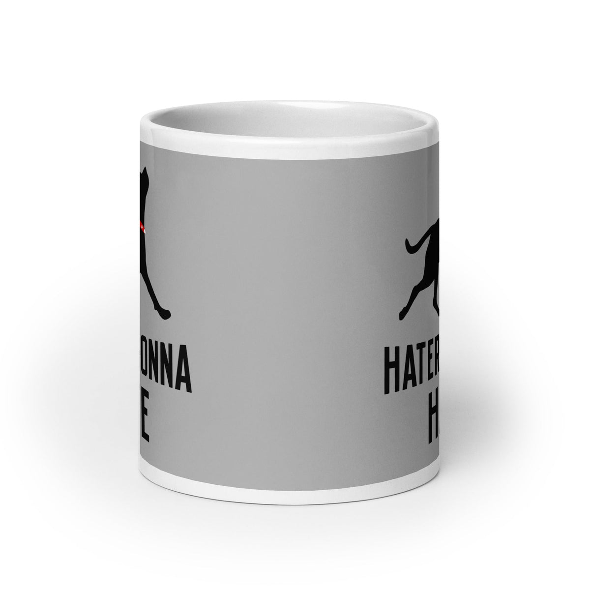 Haters Gonna Hate Pit Mug