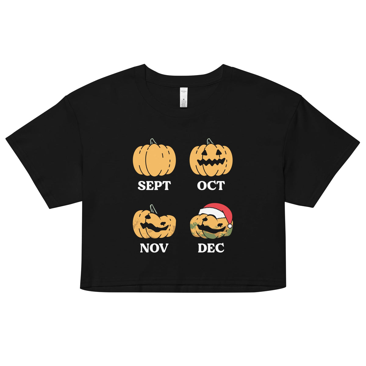 Pumpkin Months Women's Crop Tee