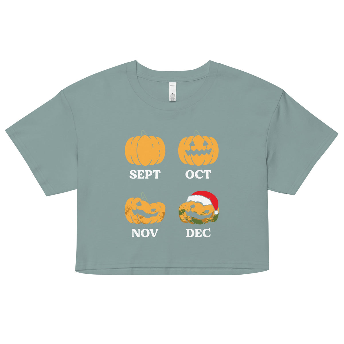 Pumpkin Months Women's Crop Tee