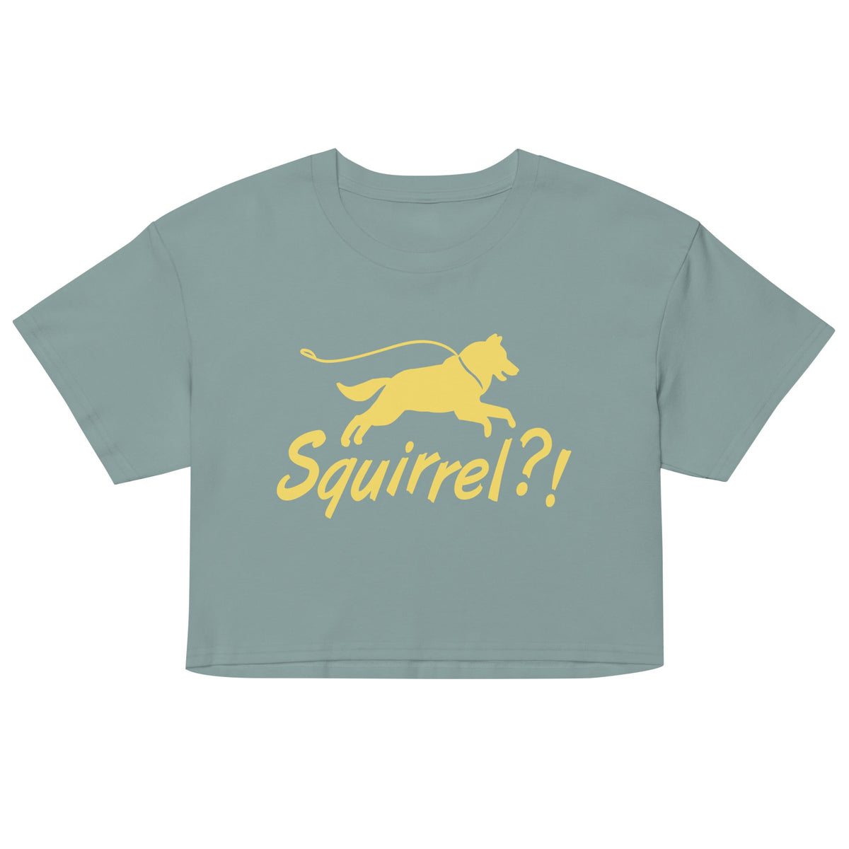 Squirrel?! Women's Crop Tee